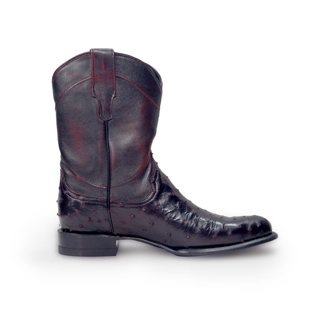 Avestruz Black Cherry